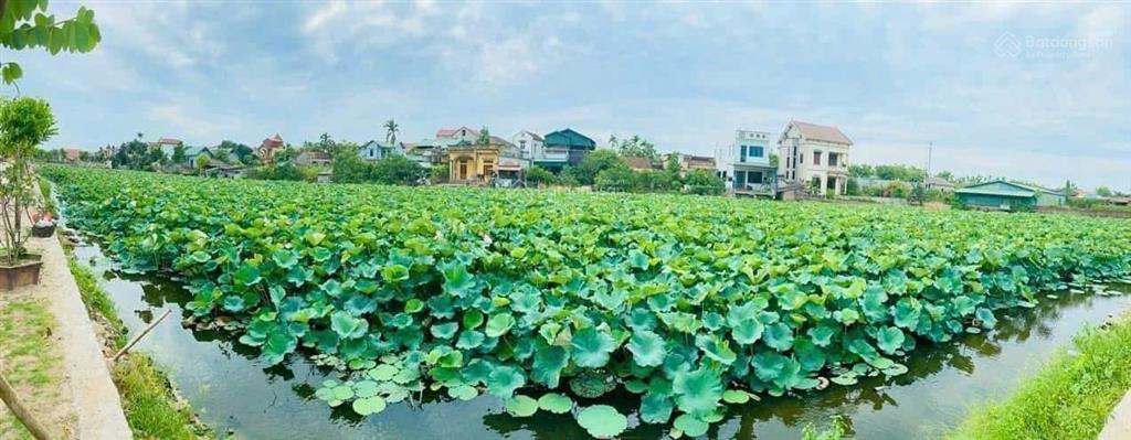 Bán 69m view hồ siêu đẹp đường ô tô tránh