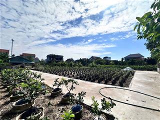 Bán đất liên nghĩa văn giang giá chỉ hơn 1 tỷ.