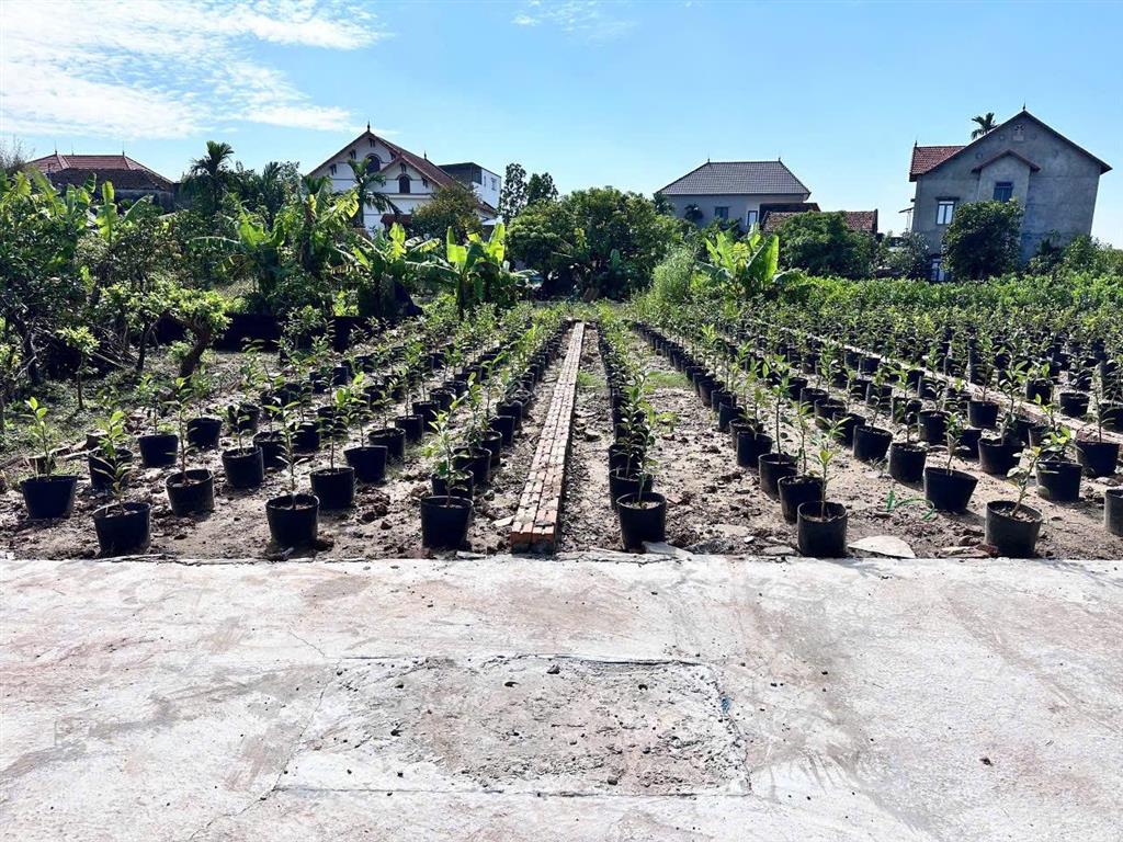 Bán đất liên nghĩa văn giang giá chỉ hơn 1 tỷ.