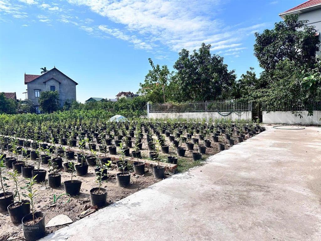 Bán đất liên nghĩa văn giang giá chỉ hơn 1 tỷ.