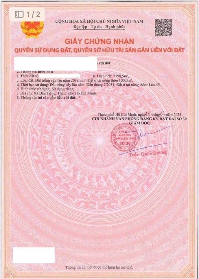 Bán đất tại đường định an 81, xã định an, 12,5 tỷ, 2198,5 m2, giá siêu hời, chính chủ