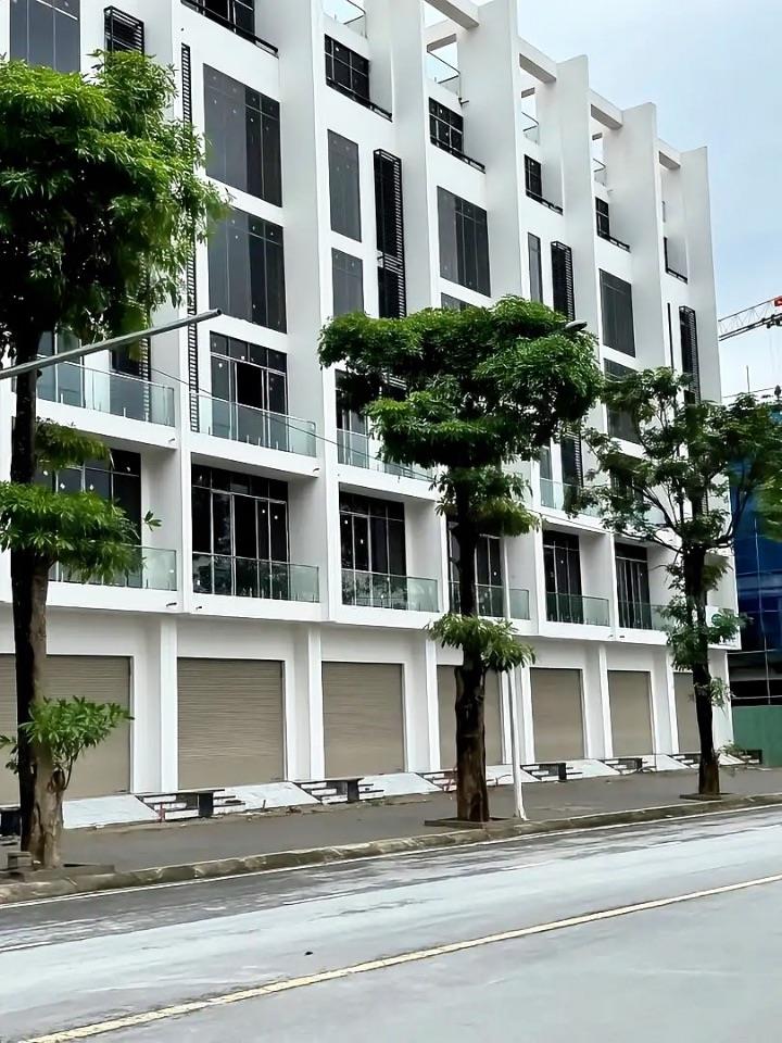 Cc bán nhanh lô đất A1.2 LK12 lô 18 95m2,5m view vườn hoa nhỉnh 10,8tỷ. LH 0888662811