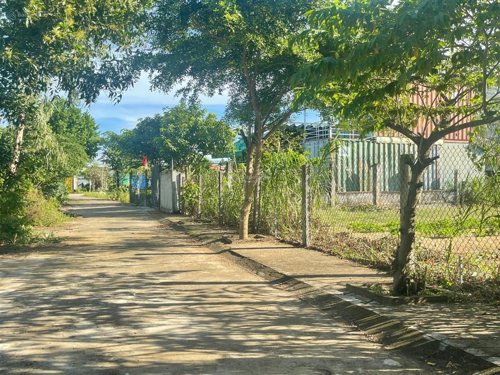 Một lô hỗ trợ vayđất bê tông chính dũng sĩ điện ngọctrục kinh doanh sầm uấtthông rả biển