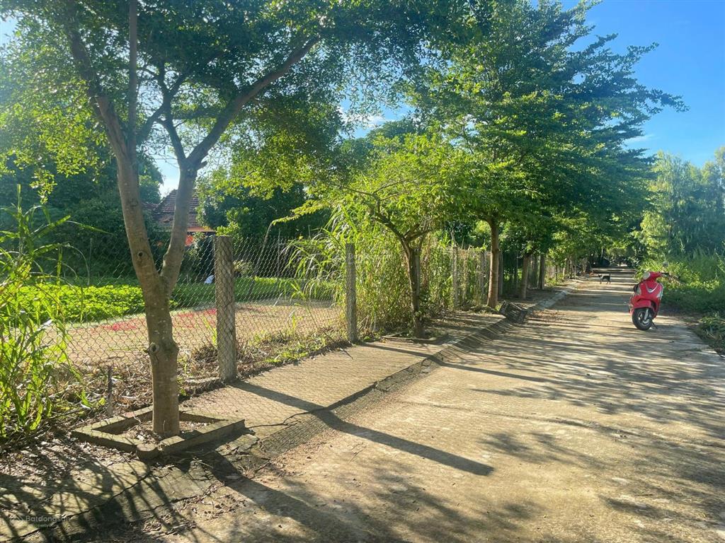 Một lô hỗ trợ vayđất bê tông chính dũng sĩ điện ngọctrục kinh doanh sầm uấtthông rả biển