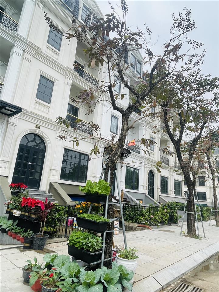 Chủ cần tiền cuối năm bán rẻ căn lk mặt ngoài đường lớn thông dài giá rất rẻ  rẻ hơn thị trường 5