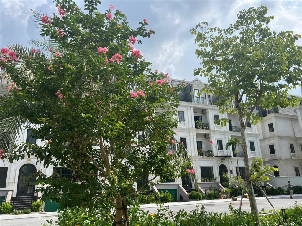 Mới ra căn liền kề vườn hoa ciputra, diện tích 120m2 vuông, giá ngộp