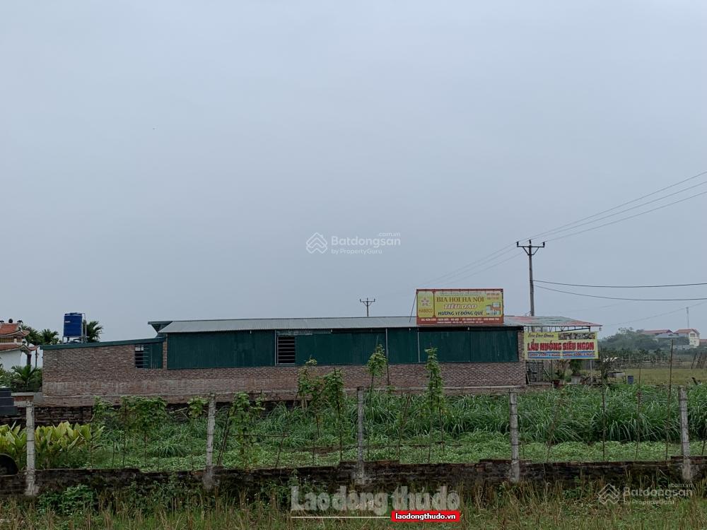 Bán gấp đất trồng cây lâu năm gần đại lộ thăng long, giá thỏa thuận, 782m2, tại vân côn, hoài đức