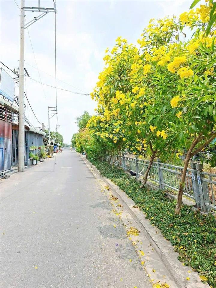 Đất thổ cư đường nhựa ngay gần chợ minh phát