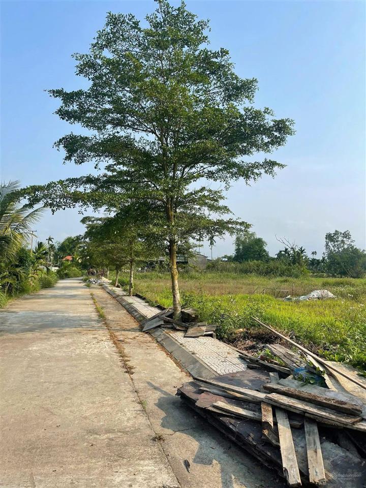 Chính chủ bán lô đất 150m2 điện bàn, 2 ô tô tránh nhau, giá hỗ trợ vay chỉ 400 triệu để sở hữu.