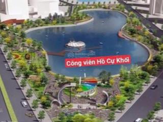 Chính chủ nhờ bán lô đất đấu giá cự khối 65 m2