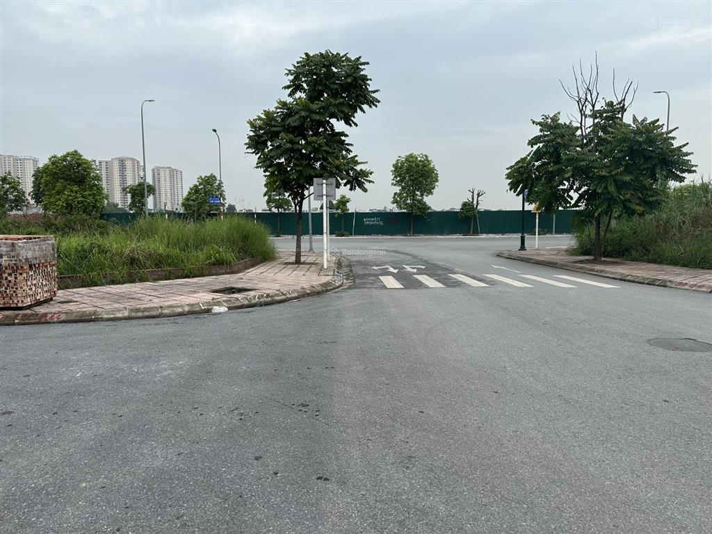 Chính chủ bán lô đất đấu giá cự khối cạnh nhau