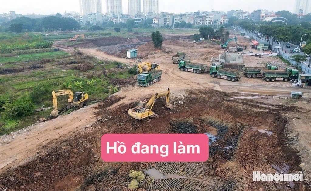 Chính chủ nhờ bán đất đấu giá cự khối long biên