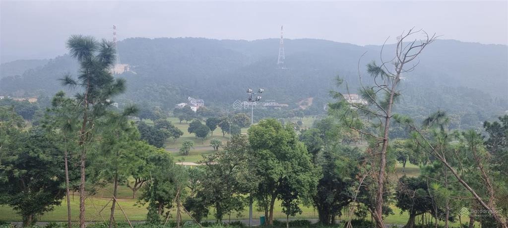 Bán đất khu nghỉ dưỡng sân golf tam đảo, vĩnh phúc, 1200m sổ lâu dài, giá hơn 9tr/m, 0985 893 ***