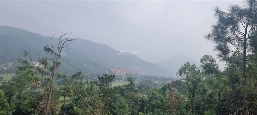 Bán đất khu nghỉ dưỡng sân golf tam đảo, vĩnh phúc, 1200m sổ lâu dài, giá hơn 9tr/m, 0985 893 ***