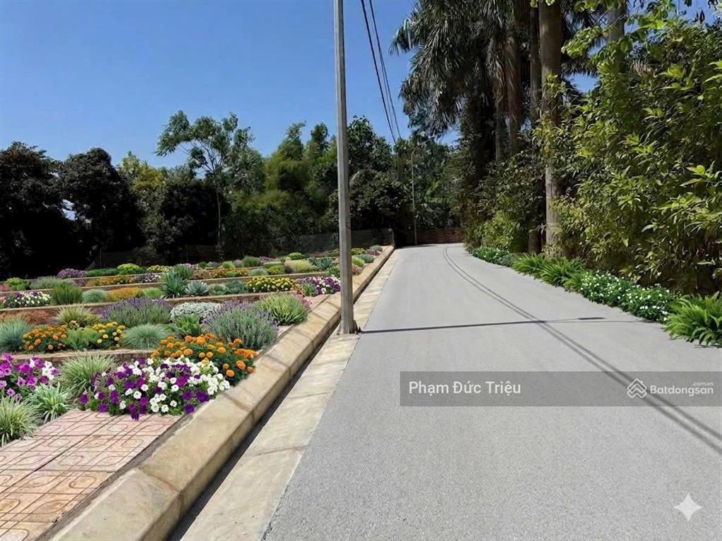 Bán đất đồng trạng ngay trục chính siêu đẹp