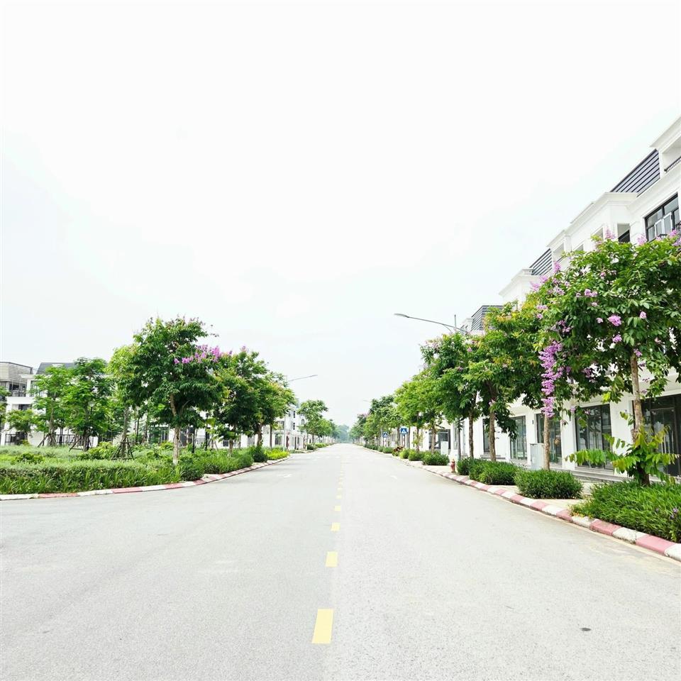 Siêu hiếm căn góc đơn lập 375m² tại kđt hud mê linh tiến độ 40%, view chung cư kd dòng tiền tốt