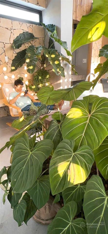Ncc cho thuê nhà 4 tầng mt khu hòa cường nam! quận hải châu, khu yên tĩnh
dt 70m2 x 4 tầng
gi