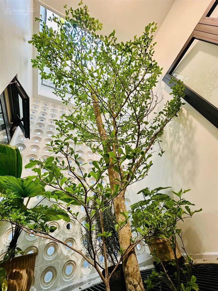 Ncc cho thuê nhà 4 tầng mt khu hòa cường nam! quận hải châu, khu yên tĩnh
dt 70m2 x 4 tầng
gi