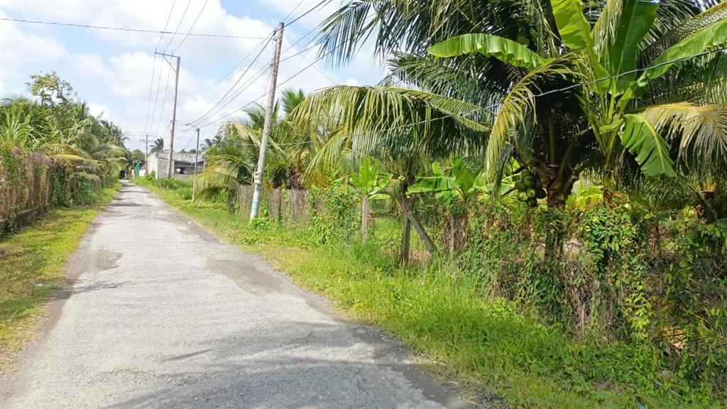 Bán 2000m2 đất thổ cư mặt tiền đường nhựa, gần cầu rạch miễu 2 vừa mới thông xe.