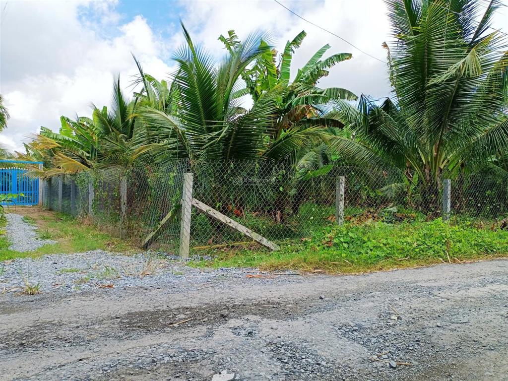 Bán 2000m2 đất thổ cư mặt tiền đường nhựa, gần cầu rạch miễu 2 vừa mới thông xe.