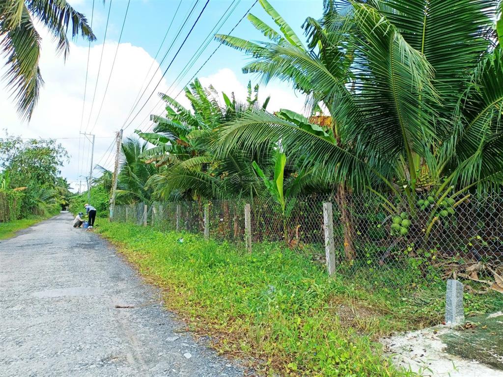 Bán 2000m2 đất thổ cư mặt tiền đường nhựa, gần cầu rạch miễu 2 vừa mới thông xe.