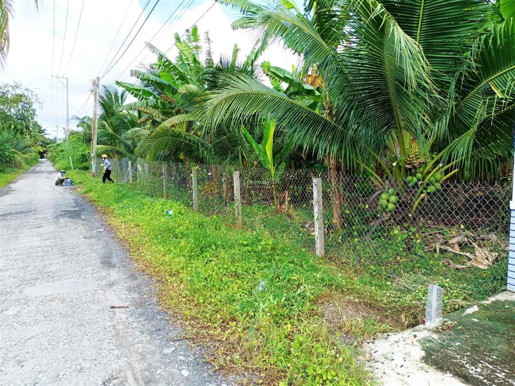 Bán 2000m2 đất thổ cư mặt tiền đường nhựa, gần cầu rạch miễu 2 vừa mới thông xe.