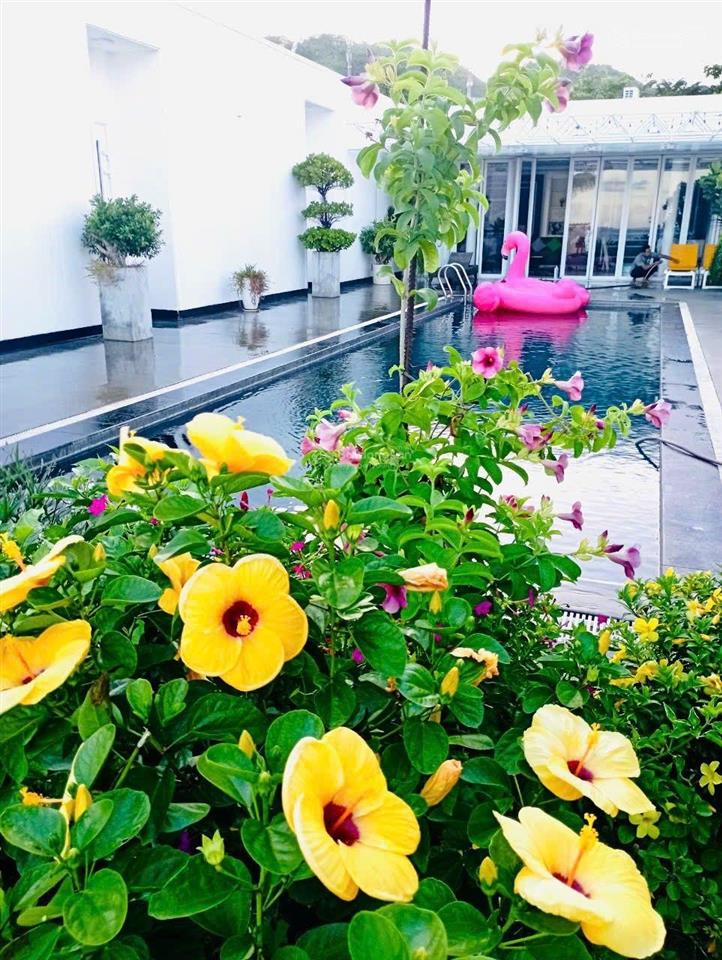 Cần bán vị trí đắc địa nhất tại dự án oceanami.  0904 968 *** mr. trang