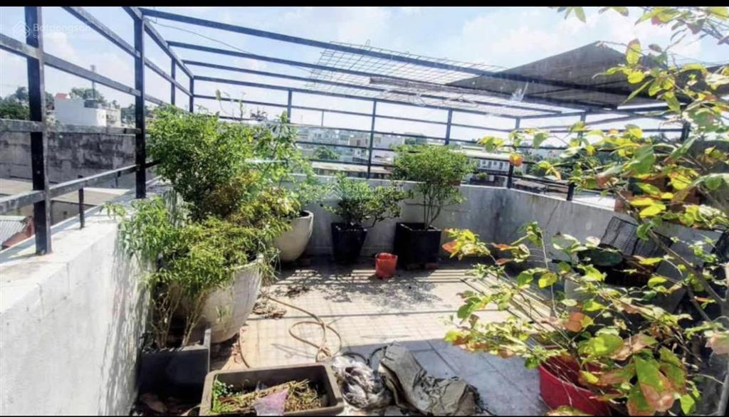 Bán nhà vườn 200m  5,3 tỷ đường bình chiểu, thủ đức, sát chợ đầu mối.