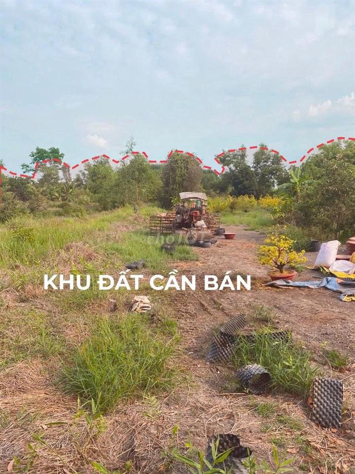 Bán đất P.Tây Nam Tp HCM giáp rạch, gần sông SG, tiện ra TL744