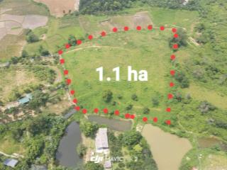 Bán 1,1ha đất vườn view cao thoáng tại cư yên  lương sơn giá 1,5tr/m2