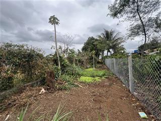 Bán đất đẹp tại khối 15, nguyễn thị định, giá cực chất 780 triệu, 165m2