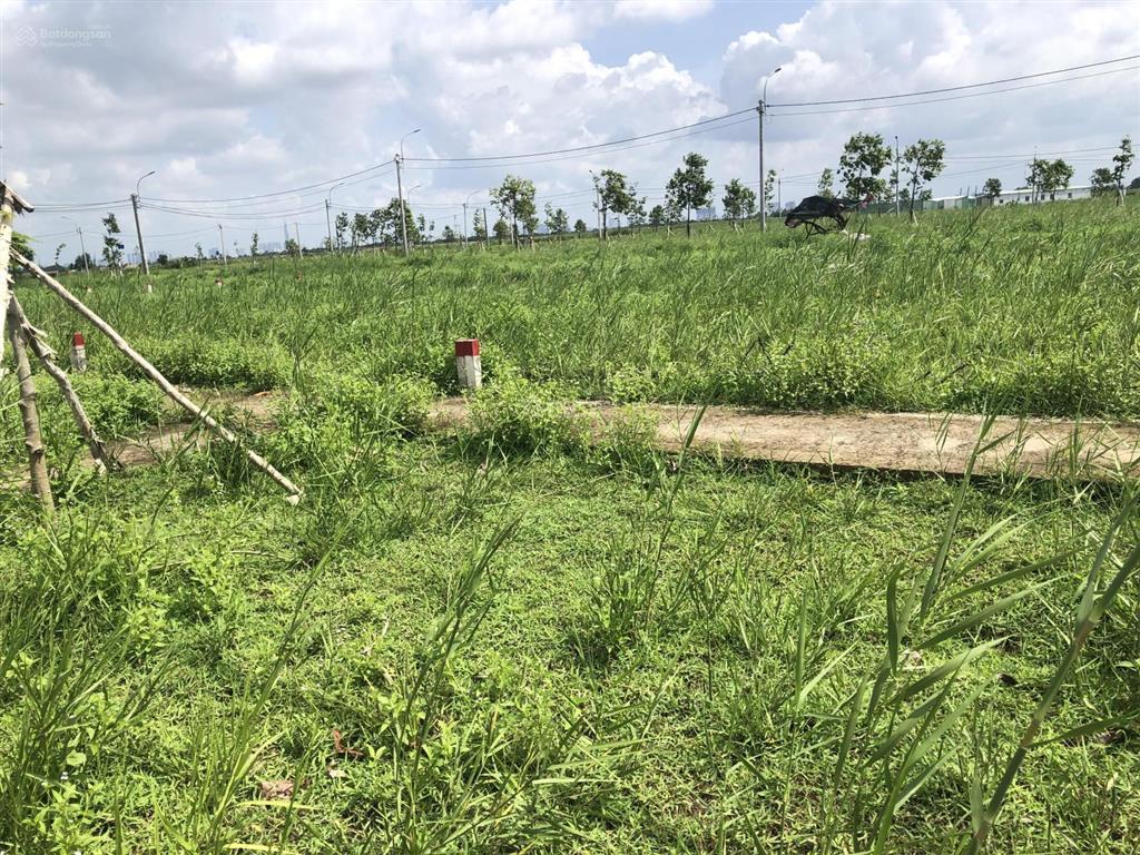 Bán đất nền dự án tại võ thị sáu, 3,3 tỷ, 100m2