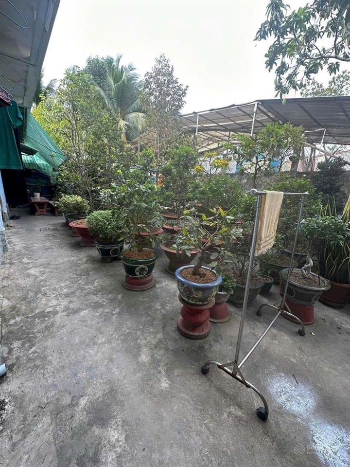 Bán nhà mặt tiền đường phạm hùng 6 tỷ gần bệnh viện xuyên á 303 mét vuông, tỉnh vĩnh long