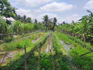 Bán đất tại trương vĩnh nguyên, 11 tỷ, 1580 m2, giá tốt, p. hưng phú, tp cần thơ