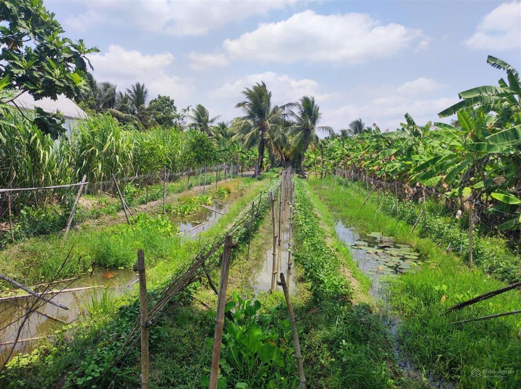 Bán đất tại nguyễn văn quy, 11 tỷ, 1580 m2, giá tốt, p. hưng phú, tp cần thơ