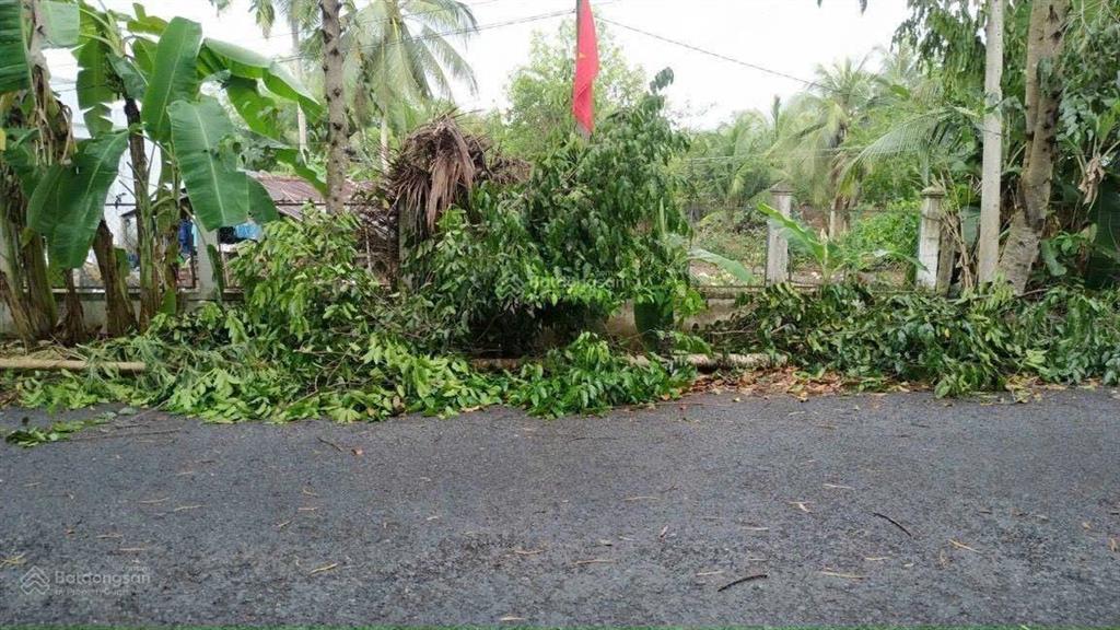 Nền đẹp giá tốt đường nhựa, xã tân hạnh, h long hồ gần cầu kho, chợ hàn thẻ