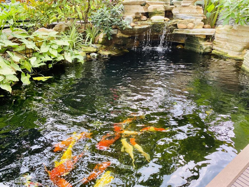 Bán nhanh biệt thự vip h10 starlake, diện tích 192,8m2, view đẹp, sẵn sổ đỏ.  xem nhà.