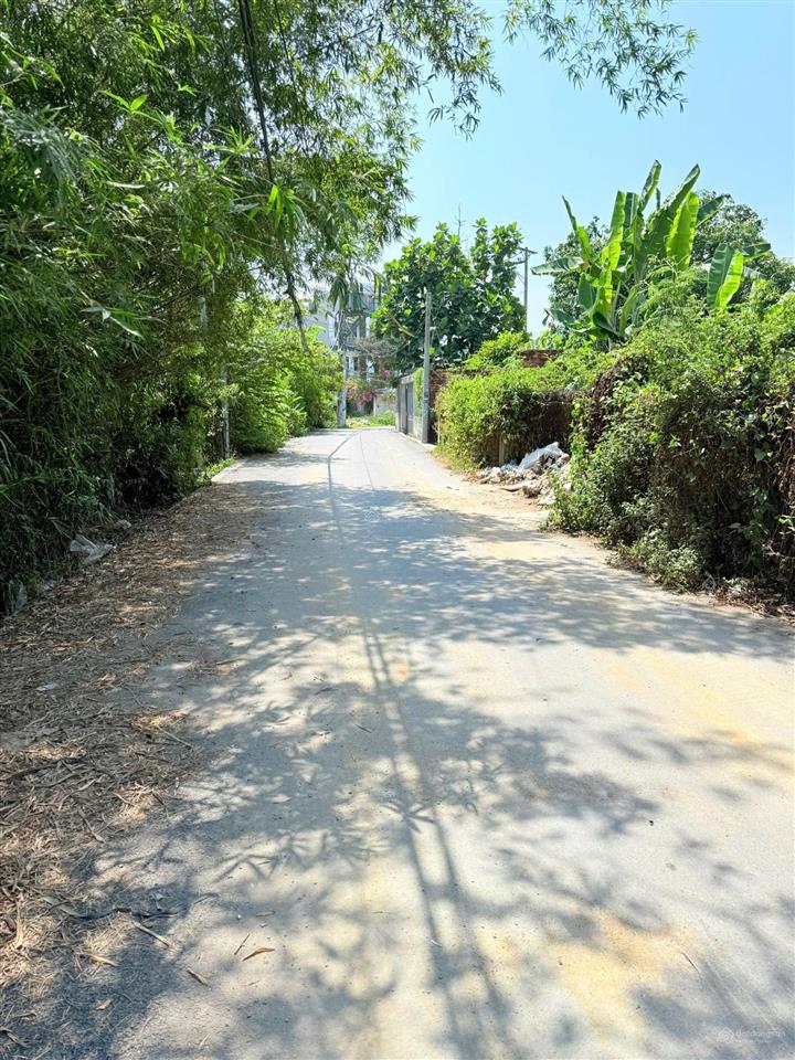 Bán đất hẻm ô tô quận 2 vị trí gần lê văn thịnh giá 6,5 tỷ diện tích 186m2