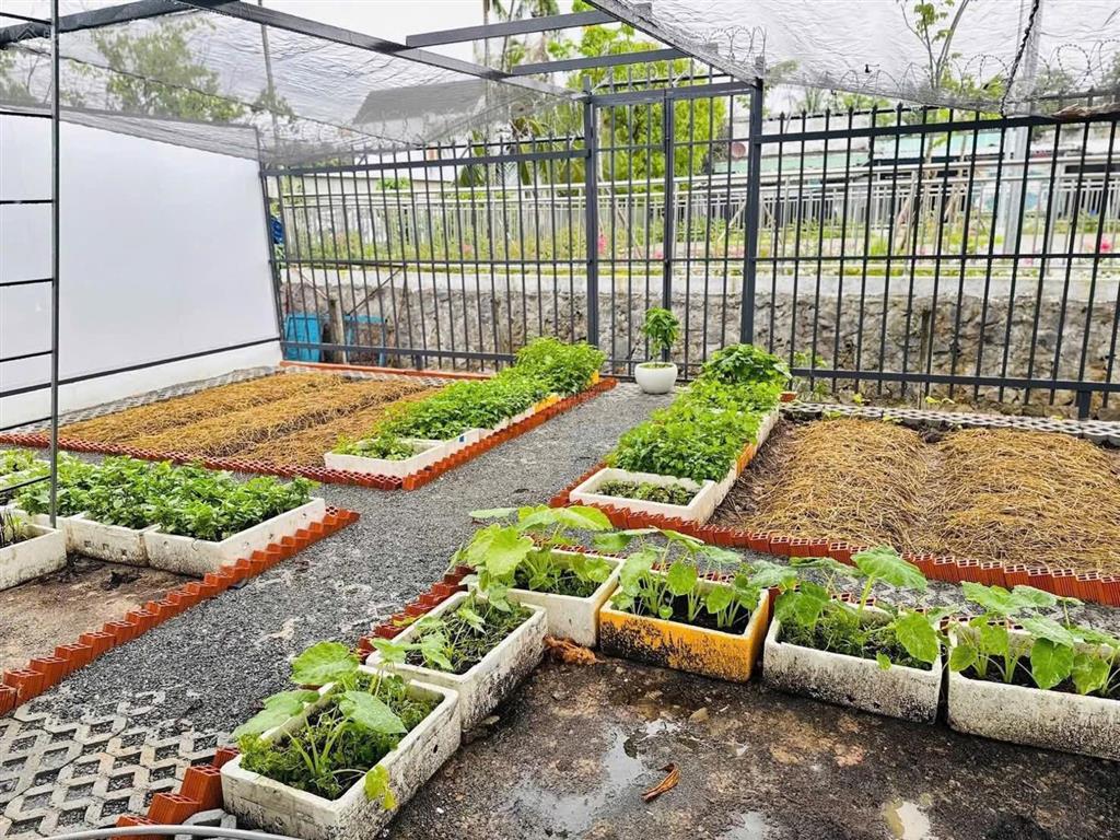 Ngộp giảm 1 tỉ 2 nhà vườn chánh mỹ gần ngã 6 , chợ thủ dầu một 9x38m. thổ cư 100m2