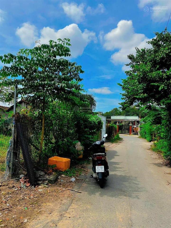 Đất phú hoà, gần kdc phú hoà 1, 4x23m. nhựa thông ra ql 13