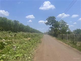 Đường đang làm rộng 20m. lô đất đẹp cho quý khách xây nhà vườn, làm kho xưởng, xây trọ