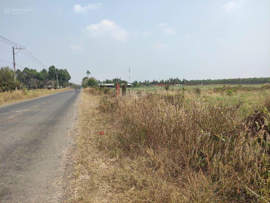 Bán 3ha đất lâu năm có 500m2 thổ tại ấp tân minh, xã minh thạnh, dầu tiếng, bình dương, 45 tỷ