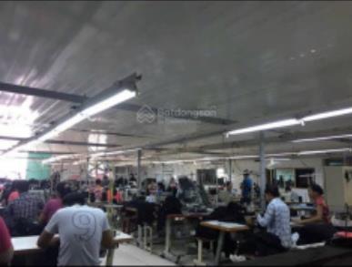 Bán đất 5.769m2 có 1.500m2 nhà xưởng. 300m2 đất thổ cư. đang cho thuê 40tr/t cách tp trà vinh 10p