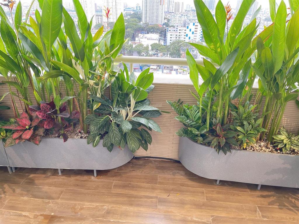 Cần cho thuê gấp căn hộ chung cư hùng vương plaza 3 pn 3wc full nội thất