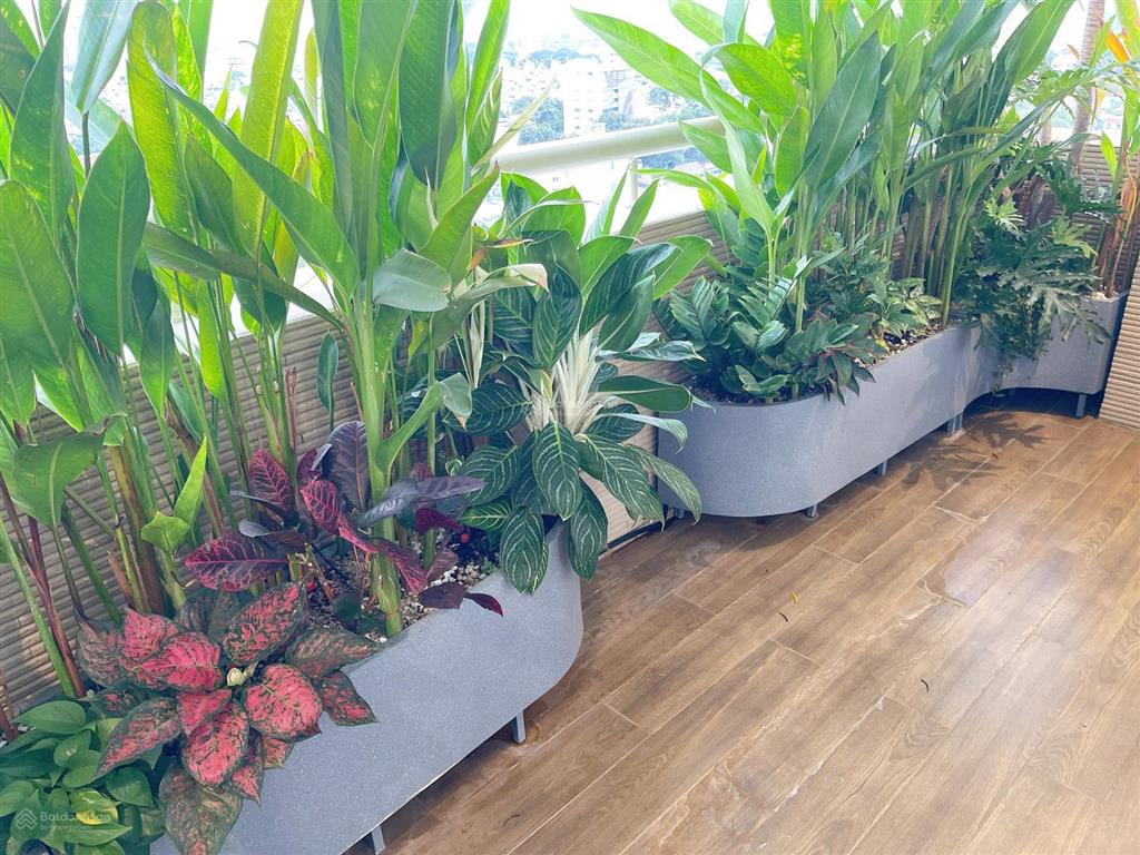 Cần bán gấp căn hộ hùng vương plaza (parkson hùng vương) 3 pn 3 wc full nội thất giá 9,2 tỷ
