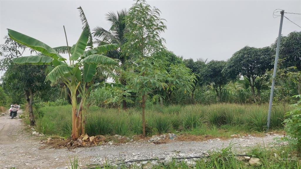 Bán đất 2000m2 đất phước khánh, nhơn trạch, mặt sông lớn