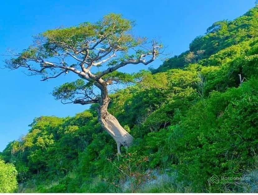 Cần bán gấp đất thổ cư đảo nam du, view biển