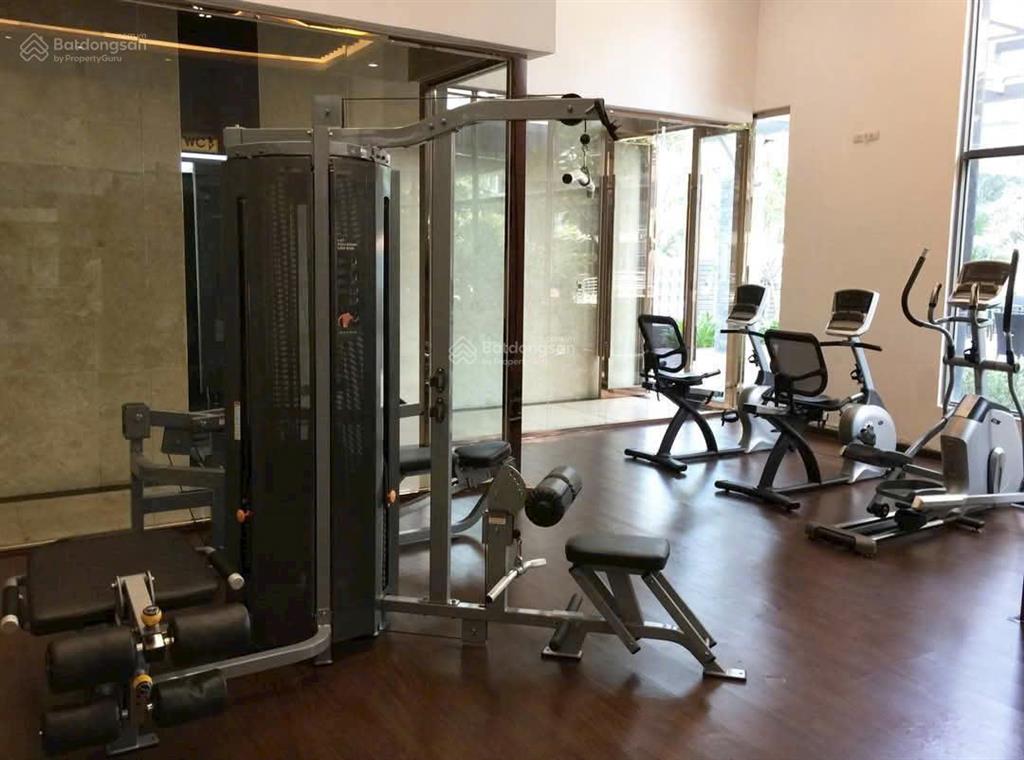 Cơ hội sở hữu penthouse docklands sài gòn  203m²  tầng cao  view triệu đô  giá chỉ từ 12,x tỷ