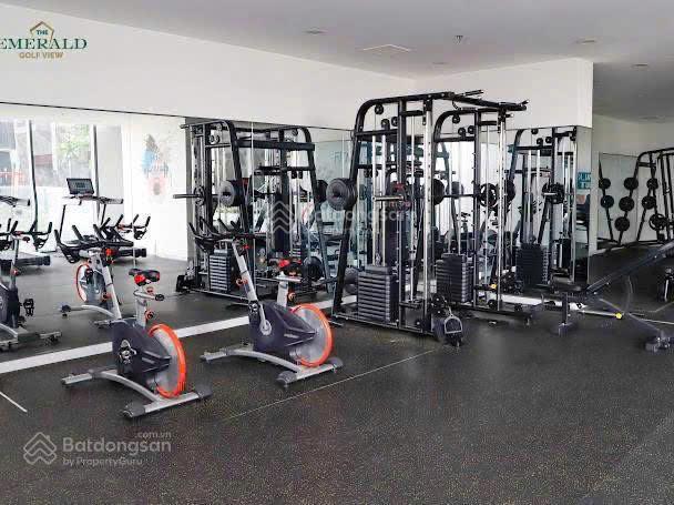 Căn hộ the emerald golf view thanh toán 10% nhận nhà sổ trao tay căn 2 pn chỉ 46 triệu/m²