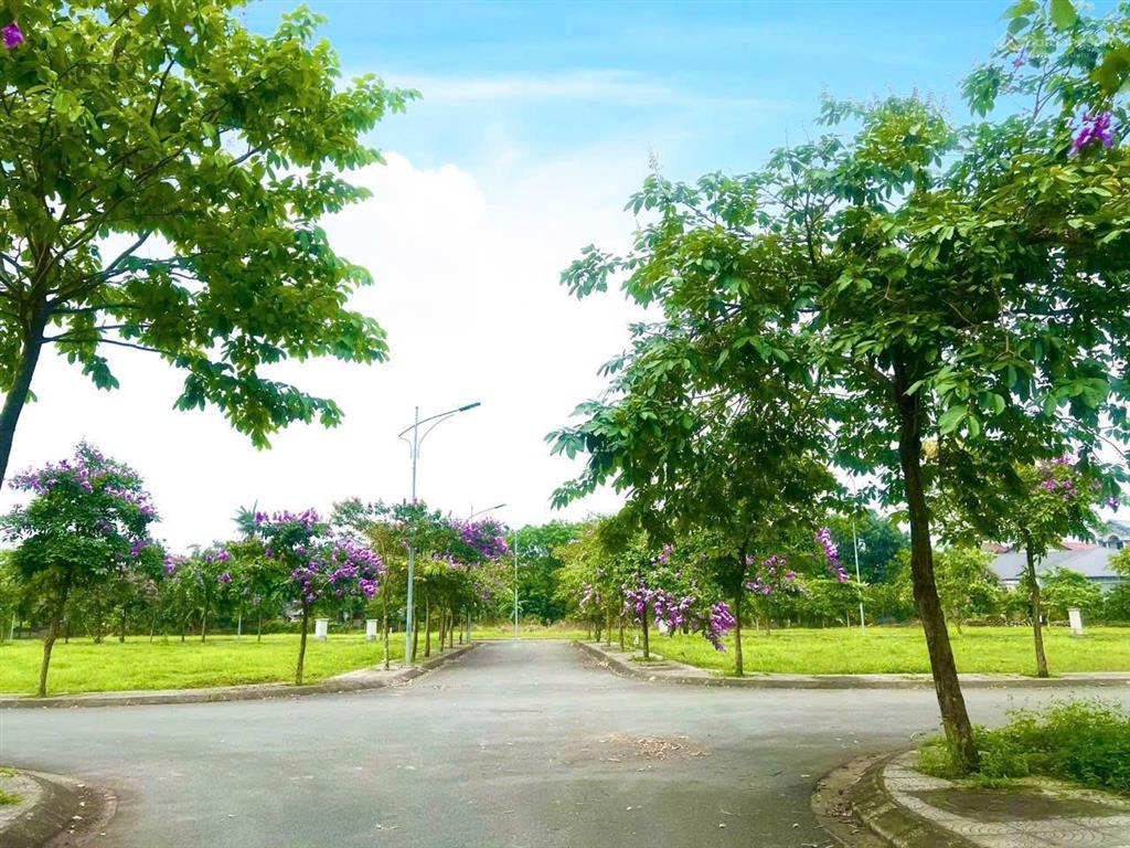 Lô góc ngoại giao đẹp kđt hưng hoá, cam kết giá rẻ trên thị trường  sẵn sổ   0974 555 ***
